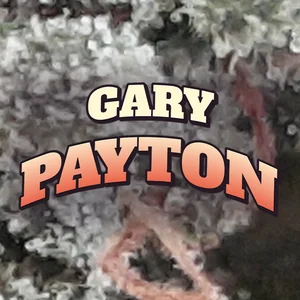 Gary Payton Cannabis Strain