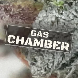 Gas Chamber Cannabis Strain