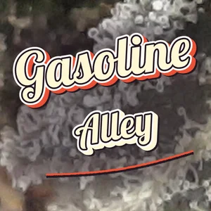 Gasoline Alley Cannabis Strain