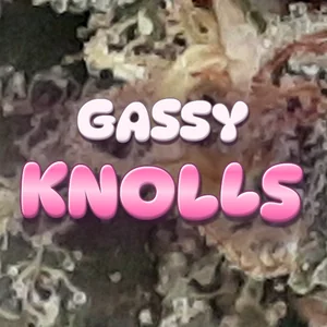 Gassy Knolls Cannabis Strain