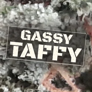 Gassy Taffy Cannabis Strain