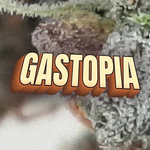 Gastopia Cannabis Strain