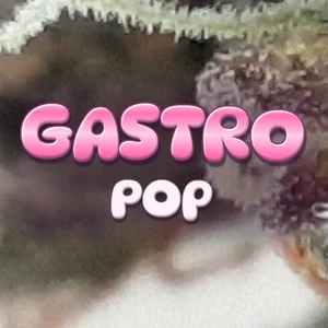 Gastro Pop Cannabis Strain