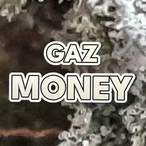 Gaz Money Cannabis Strain