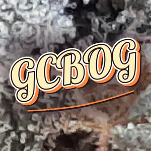 GCBOG Cannabis Strain