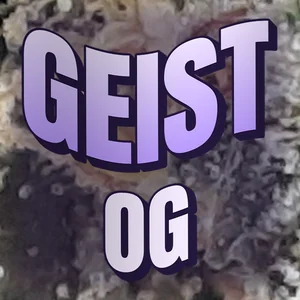 Geist OG Cannabis Strain
