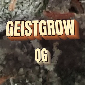 Geistgrow OG Cannabis Strain