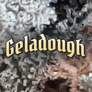 Geladough Cannabis Strain