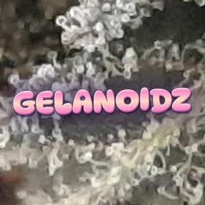 Gelanoidz Cannabis Strain