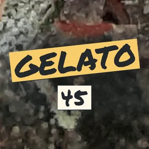 Gelato 45 Cannabis Strain