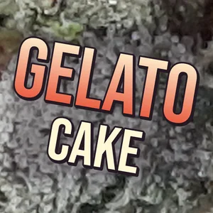 Gelato Cake Cannabis Strain
