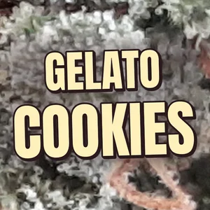 Gelato Cookies Cannabis Strain