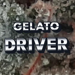 Gelato Driver Cannabis Strain