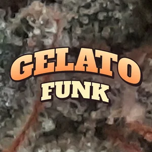 Gelato Funk Cannabis Strain