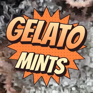 Gelato Mints Cannabis Strain