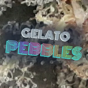 Gelato Pebbles Cannabis Strain