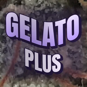 Gelato Plus Cannabis Strain