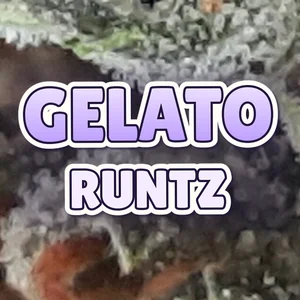 Gelato Runtz Cannabis Strain