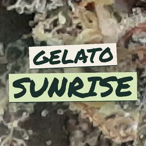 Gelato Sunrise Cannabis Strain
