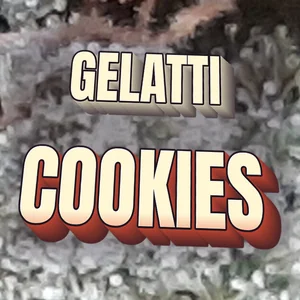 Gelatti Cookies Cannabis Strain