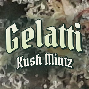 Gelatti Kush Mintz Cannabis Strain