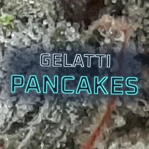 Gelatti Pancakes Cannabis Strain