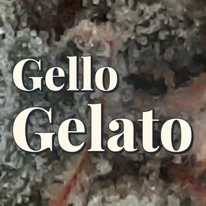 Gello Gelato Cannabis Strain