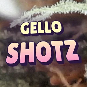 Gello Shotz Cannabis Strain