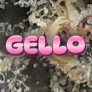 Gello Cannabis Strain