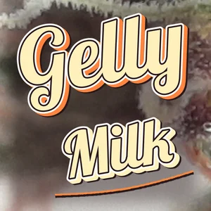 Gelly Milk Cannabis Strain