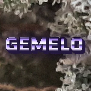 Gemelo Cannabis Strain