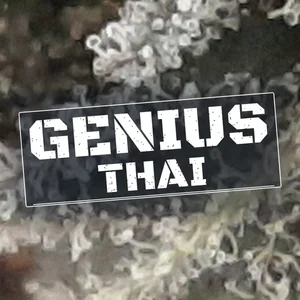 Genius Thai Cannabis Strain