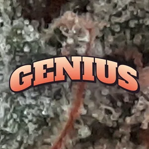 Genius Cannabis Strain