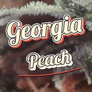 Georgia Peach Cannabis Strain