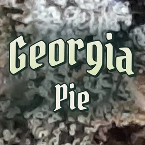 Georgia Pie Cannabis Strain