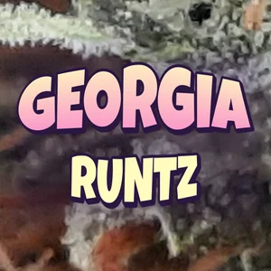 Georgia Runtz Cannabis Strain