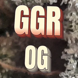 GGR OG Cannabis Strain