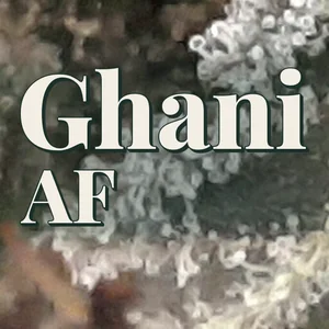 Ghani AF Cannabis Strain