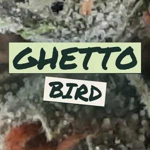 Ghetto Bird Cannabis Strain