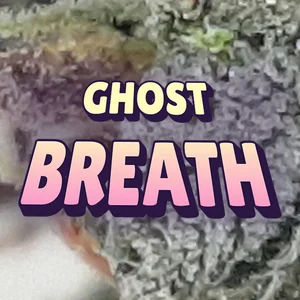 Ghost Breath Cannabis Strain