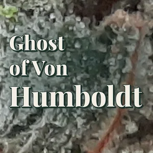 Ghost of Von Humboldt Cannabis Strain