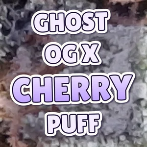 Ghost OG x Cherry Puff Cannabis Strain