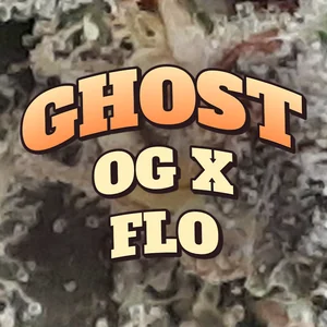 Ghost OG x Flo Cannabis Strain