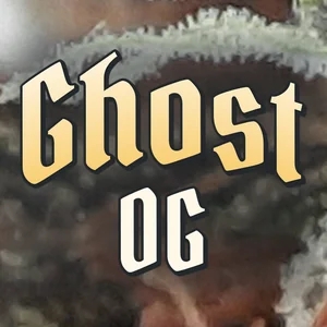 Ghost OG Cannabis Strain