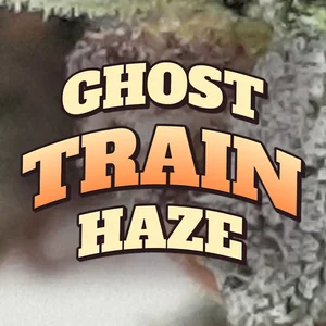 Ghost Train Haze Cannabis Strain