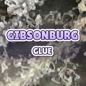 Gibsonburg Glue Cannabis Strain