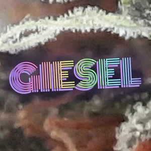 Giesel Cannabis Strain