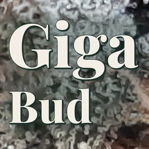 Giga Bud Cannabis Strain