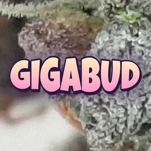Gigabud Cannabis Strain