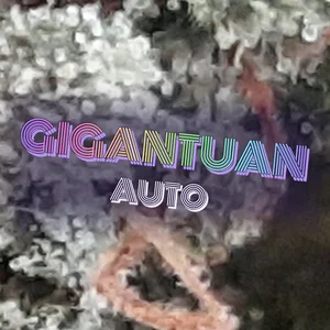 Gigantuan Auto Cannabis Strain